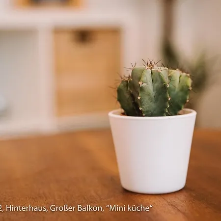 Apartment Helle Im Zentrum, Netflix Und Großer Küche